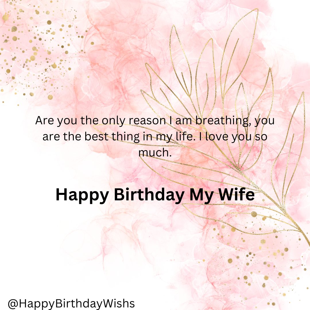 Dear Wife Happy Birthday my love 