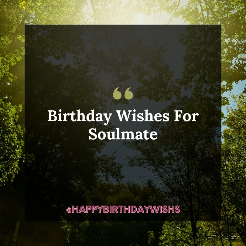 Soulmate Romantic Birthday Wishes for Wife from Husband