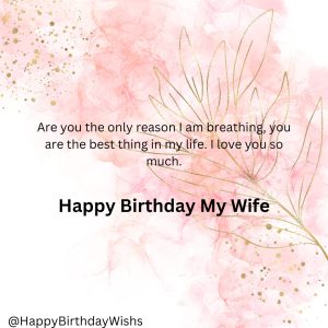 Dear Wife Happy Birthday my love